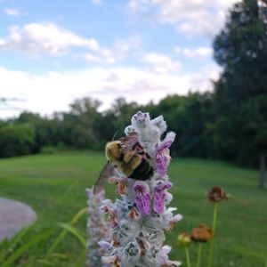 Meet your Posher, Gina